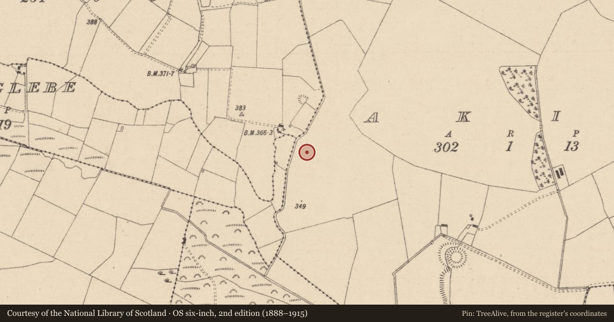 Ordnance Survey six-inch map, 2nd edition (1888–1915) covering the location of Graveyard, Akip, County Laois, with a pin at the register's coordinates