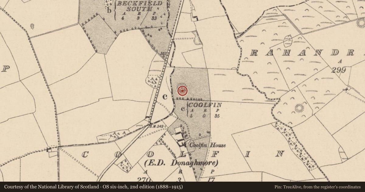 Ordnance Survey six-inch map, 2nd edition (1888–1915) covering the location of Designed landscape - tree-ring, Coolfin, County Laois, with a pin at the register's coordinates
