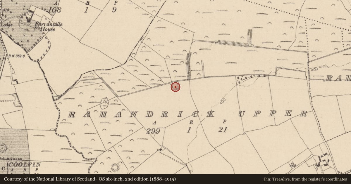 Ordnance Survey six-inch map, 2nd edition (1888–1915) covering the location of Ringfort - rath, Rahandrick Upper, County Laois, with a pin at the register's coordinates