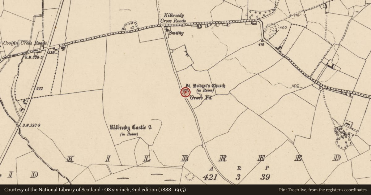 Ordnance Survey six-inch map, 2nd edition (1888–1915) covering the location of Church, Kilbreedy, County Laois, with a pin at the register's coordinates