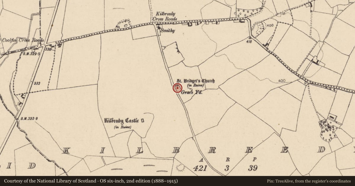 Ordnance Survey six-inch map, 2nd edition (1888–1915) covering the location of Graveyard, Kilbreedy, County Laois, with a pin at the register's coordinates