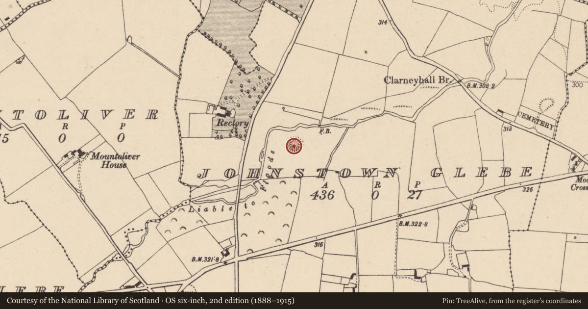 Ordnance Survey six-inch map, 2nd edition (1888–1915) covering the location of Ringfort - rath, Johnstown Glebe, County Laois, with a pin at the register's coordinates
