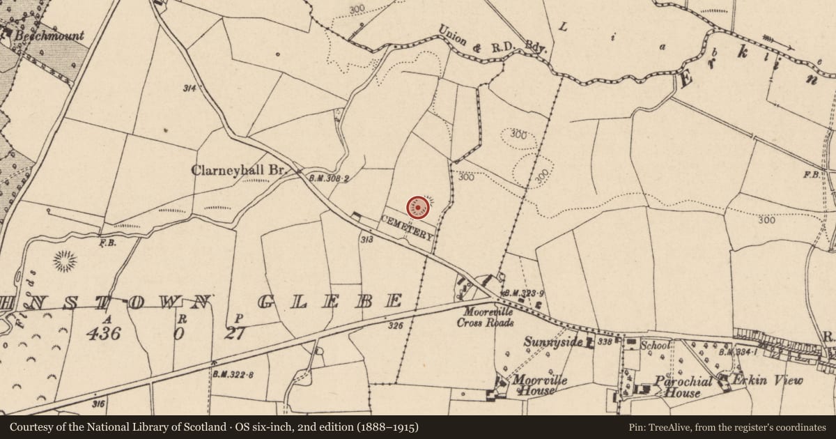 Ordnance Survey six-inch map, 2nd edition (1888–1915) covering the location of Ringfort - rath, Johnstown Glebe, County Laois, with a pin at the register's coordinates