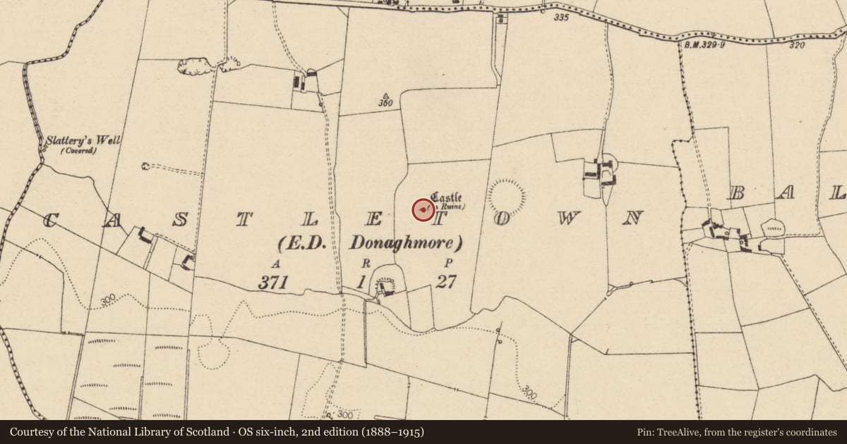 Ordnance Survey six-inch map, 2nd edition (1888–1915) covering the location of Castle - tower house, Castletown, County Laois, with a pin at the register's coordinates