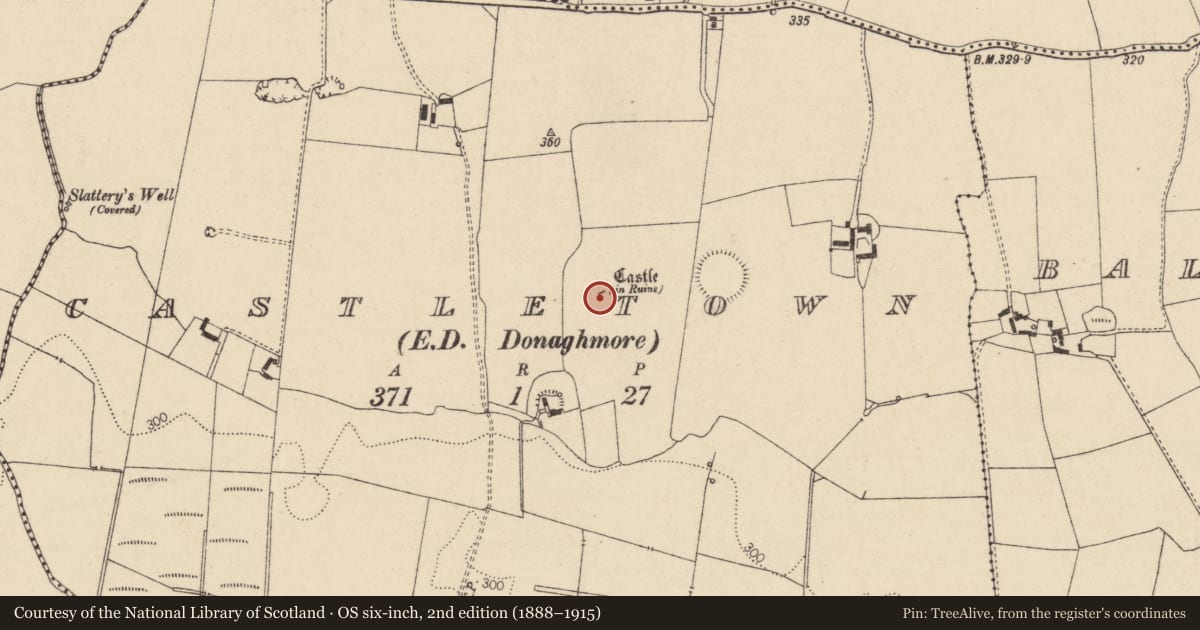 Ordnance Survey six-inch map, 2nd edition (1888–1915) covering the location of Bawn, Castletown, County Laois, with a pin at the register's coordinates