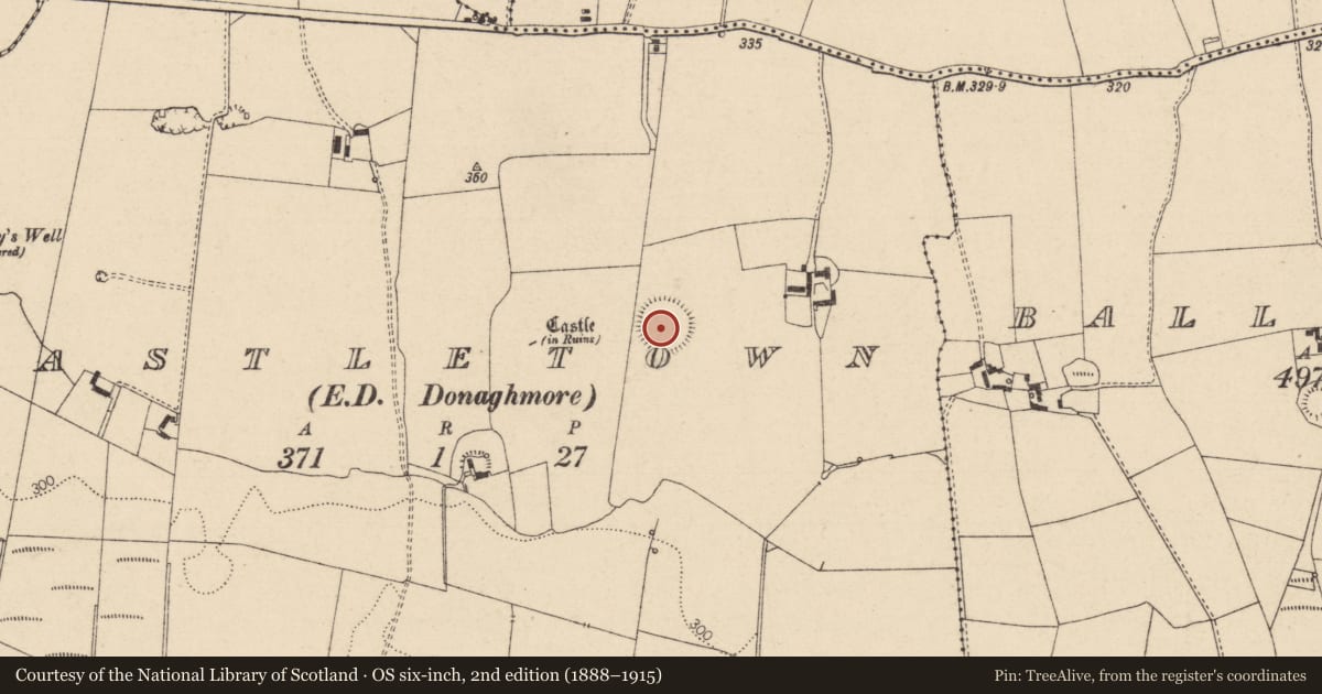 Ordnance Survey six-inch map, 2nd edition (1888–1915) covering the location of Enclosure, Castletown, County Laois, with a pin at the register's coordinates