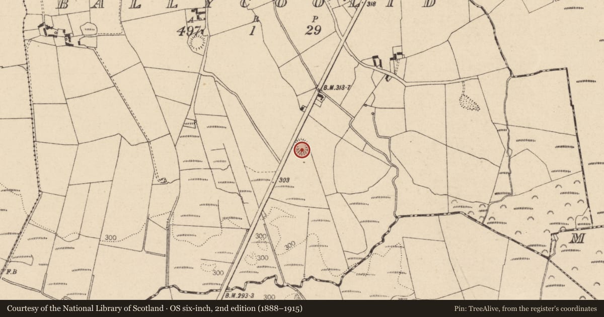 Ordnance Survey six-inch map, 2nd edition (1888–1915) covering the location of Enclosure, Ballycoolid, County Laois, with a pin at the register's coordinates