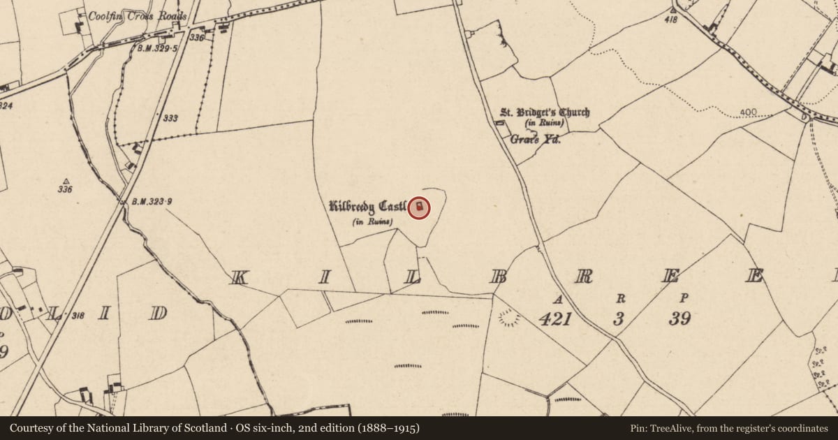 Ordnance Survey six-inch map, 2nd edition (1888–1915) covering the location of Castle - tower house, Kilbreedy, County Laois, with a pin at the register's coordinates