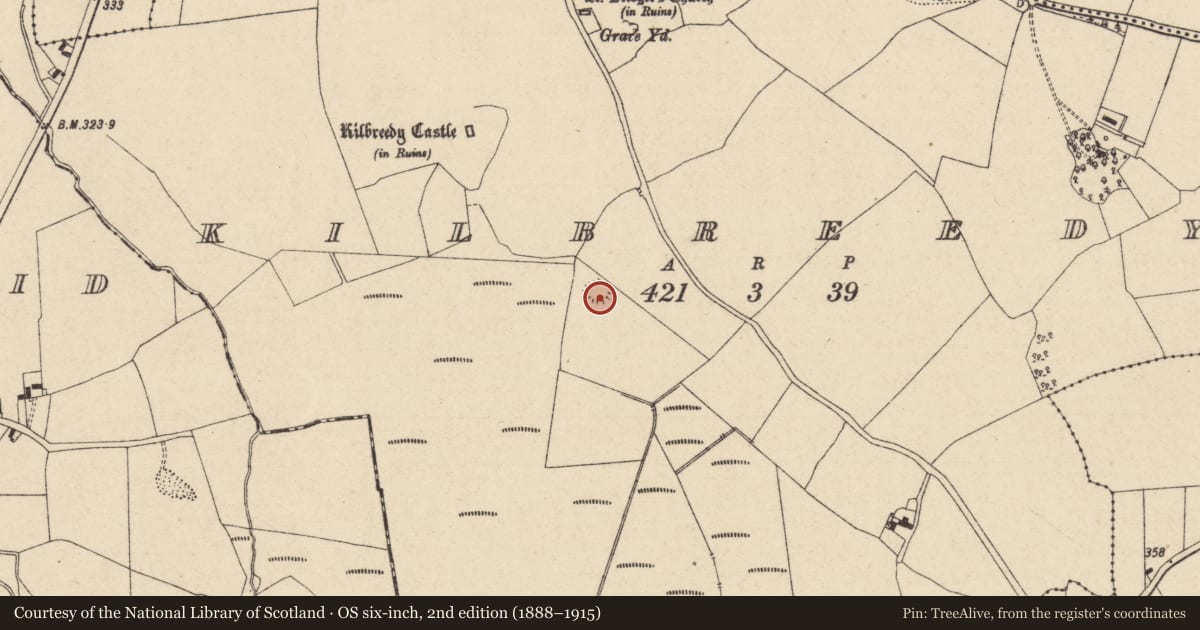 Ordnance Survey six-inch map, 2nd edition (1888–1915) covering the location of Enclosure, Kilbreedy, County Laois, with a pin at the register's coordinates