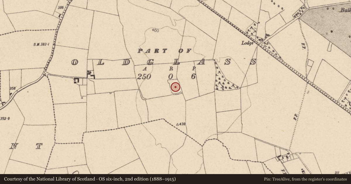Ordnance Survey six-inch map, 2nd edition (1888–1915) covering the location of Enclosure, Oldglass (Detached portion), County Laois, with a pin at the register's coordinates