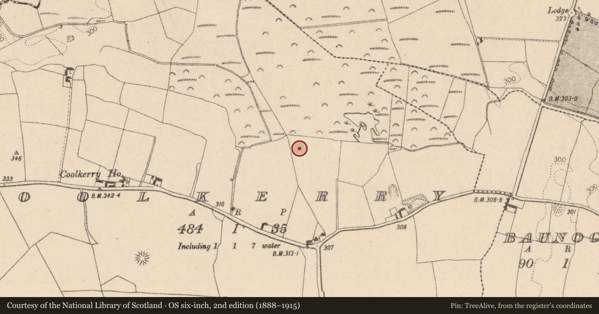 Ordnance Survey six-inch map, 2nd edition (1888–1915) covering the location of Moated site, Coolkerry, County Laois, with a pin at the register's coordinates