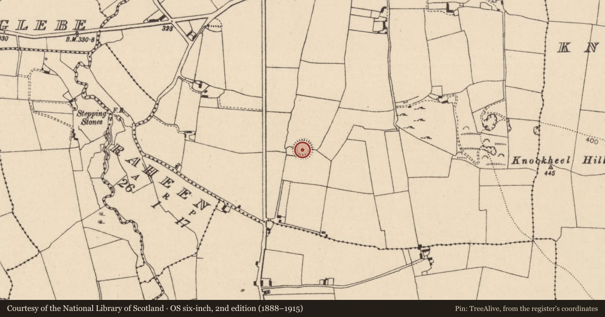 Ordnance Survey six-inch map, 2nd edition (1888–1915) covering the location of Ringfort - rath, Johnstown Glebe, County Laois, with a pin at the register's coordinates