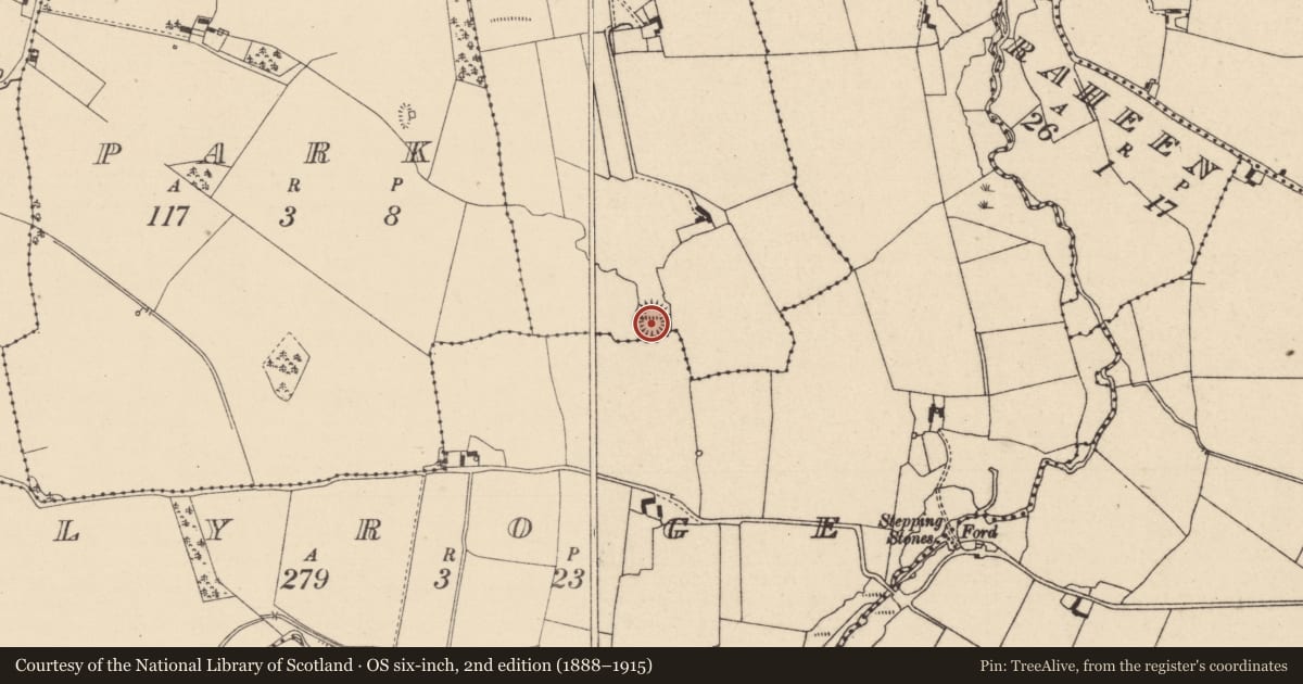Ordnance Survey six-inch map, 2nd edition (1888–1915) covering the location of Ringfort - rath, Rathsaran Glebe, County Laois, with a pin at the register's coordinates
