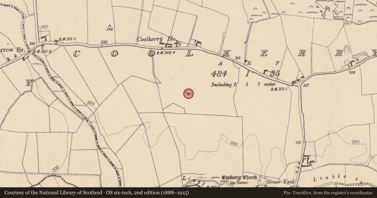 Ordnance Survey six-inch map, 2nd edition (1888–1915) covering the location of Ringfort - rath, Coolkerry, County Laois, with a pin at the register's coordinates
