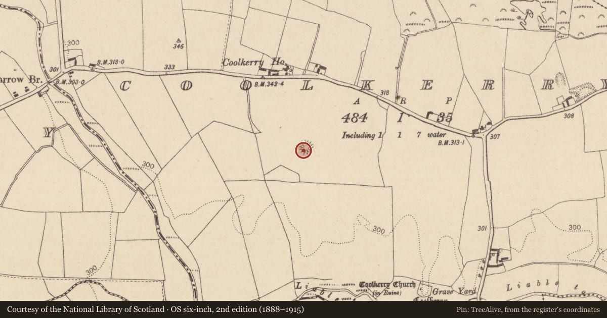 Ordnance Survey six-inch map, 2nd edition (1888–1915) covering the location of Church, Kilcoran, County Laois, with a pin at the register's coordinates