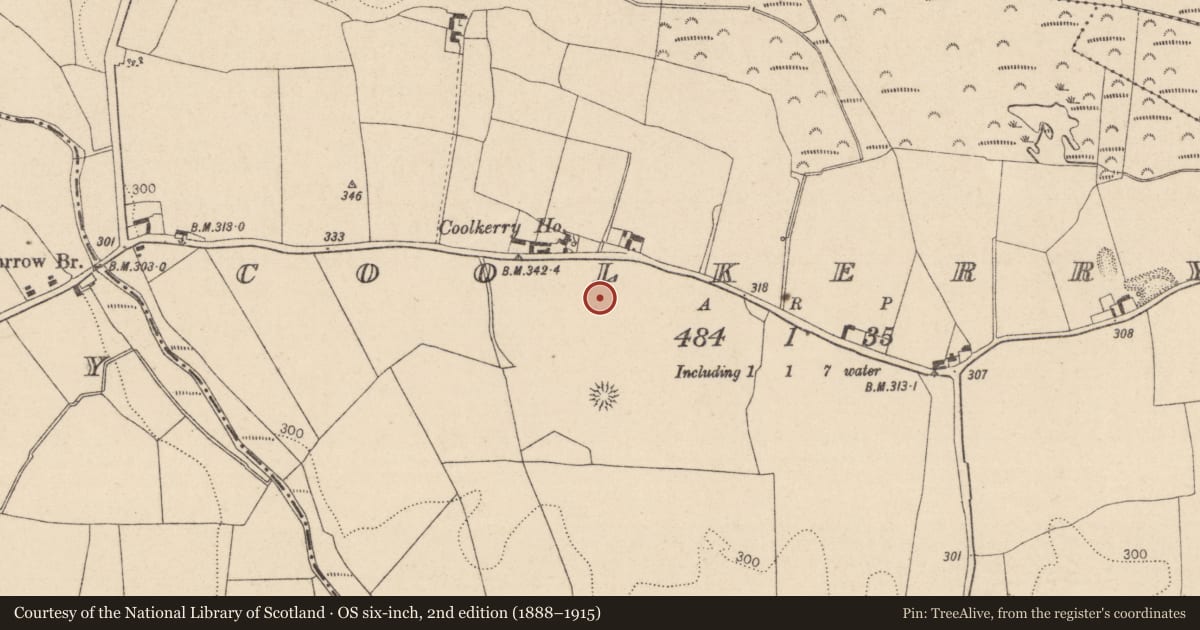 Ordnance Survey six-inch map, 2nd edition (1888–1915) covering the location of Graveyard, Kilcoran, County Laois, with a pin at the register's coordinates