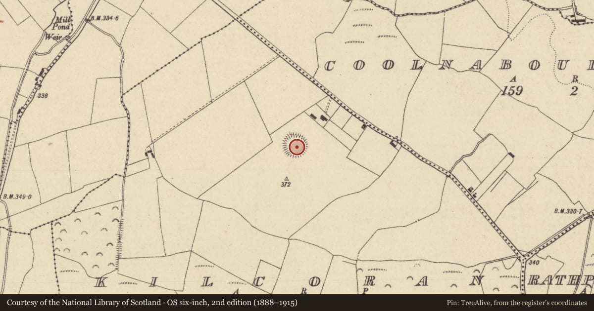 Ordnance Survey six-inch map, 2nd edition (1888–1915) covering the location of Ringfort - rath, Kilcoran, County Laois, with a pin at the register's coordinates