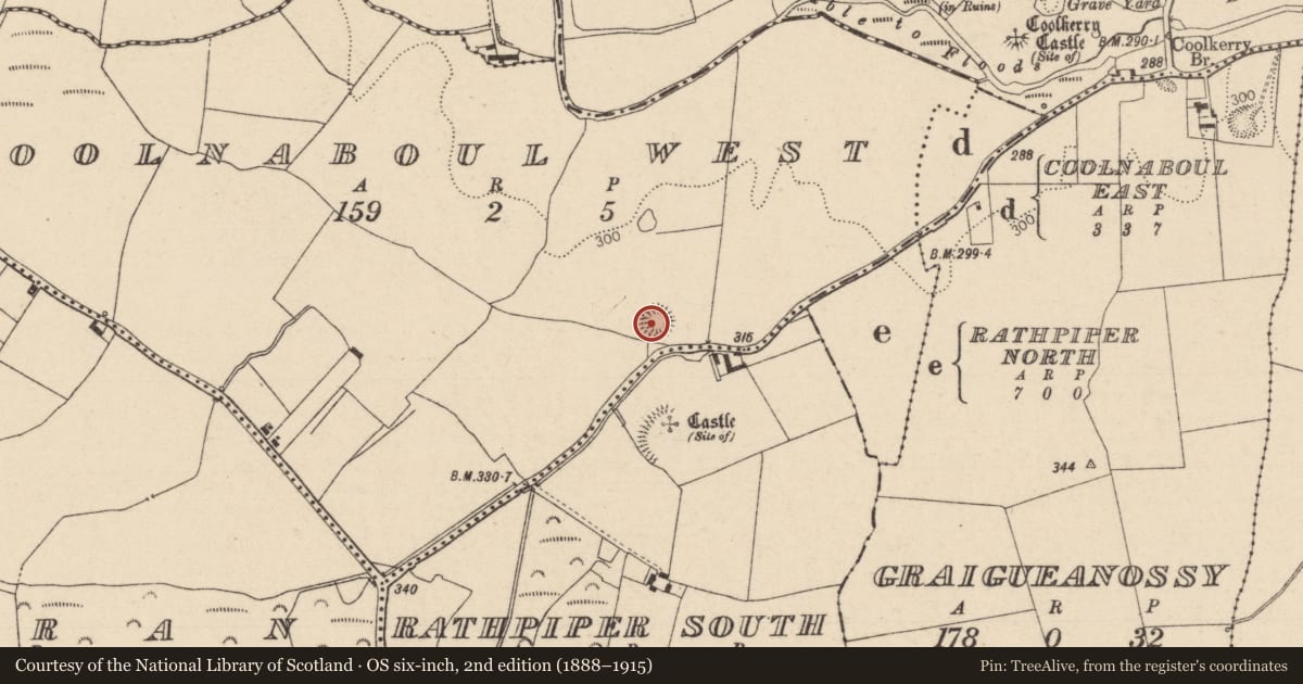 Ordnance Survey six-inch map, 2nd edition (1888–1915) covering the location of Enclosure, Coolnaboul West, County Laois, with a pin at the register's coordinates