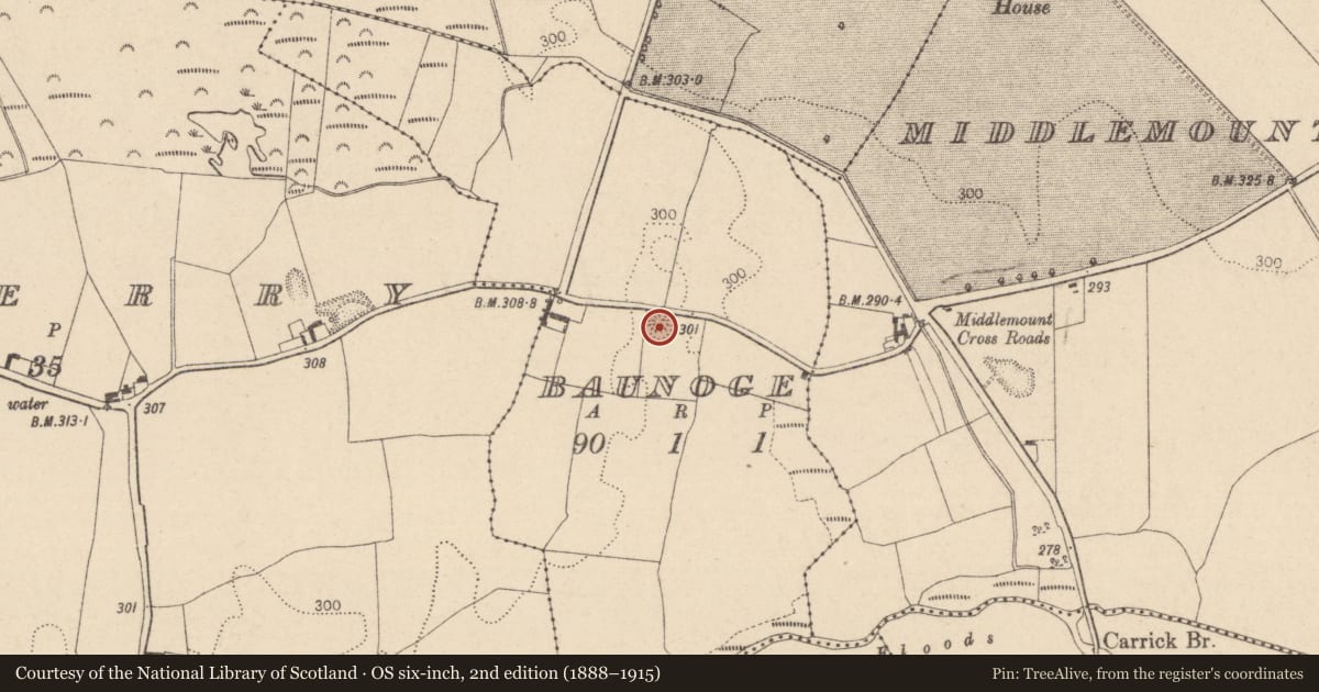 Ordnance Survey six-inch map, 2nd edition (1888–1915) covering the location of Ringfort - rath, Baunoge, County Laois, with a pin at the register's coordinates