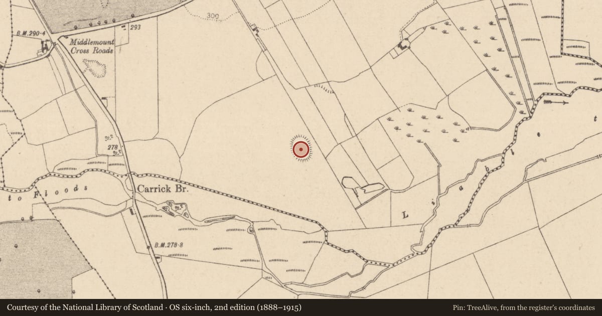 Ordnance Survey six-inch map, 2nd edition (1888–1915) covering the location of Enclosure, Middlemount Or Ballyvoghlaun, County Laois, with a pin at the register's coordinates