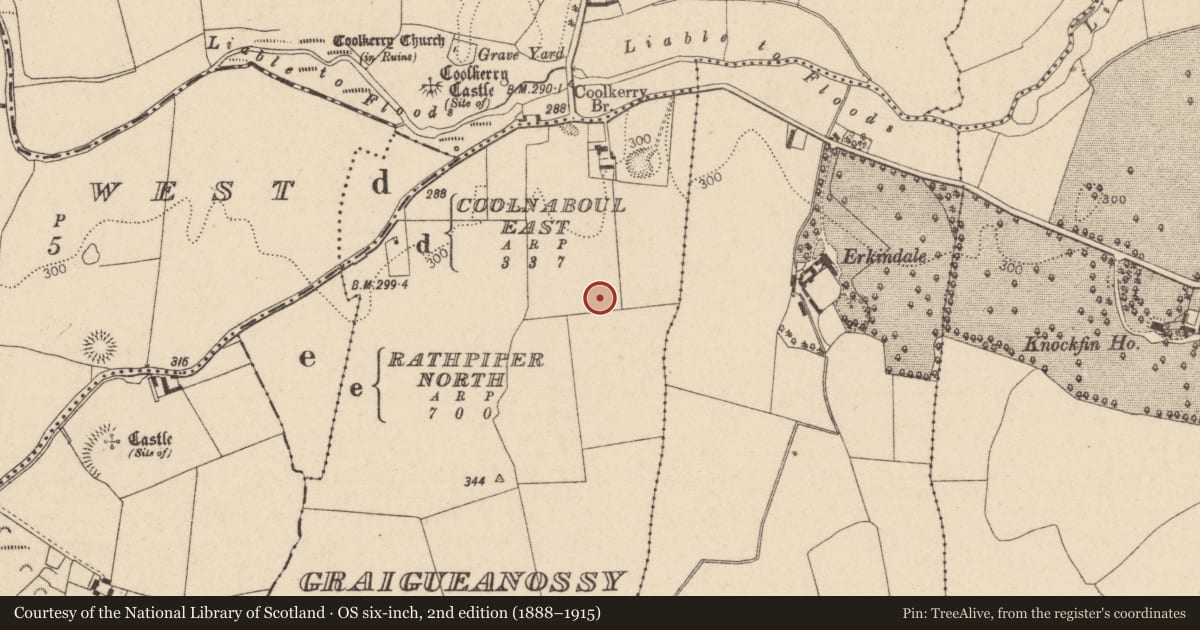 Ordnance Survey six-inch map, 2nd edition (1888–1915) covering the location of Ringfort - rath, Graigueanossy, County Laois, with a pin at the register's coordinates