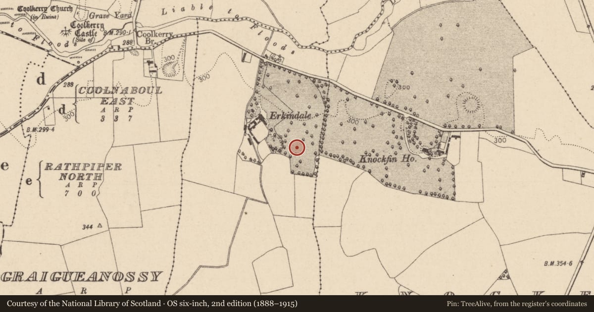 Ordnance Survey six-inch map, 2nd edition (1888–1915) covering the location of Enclosure, Knockfin, County Laois, with a pin at the register's coordinates