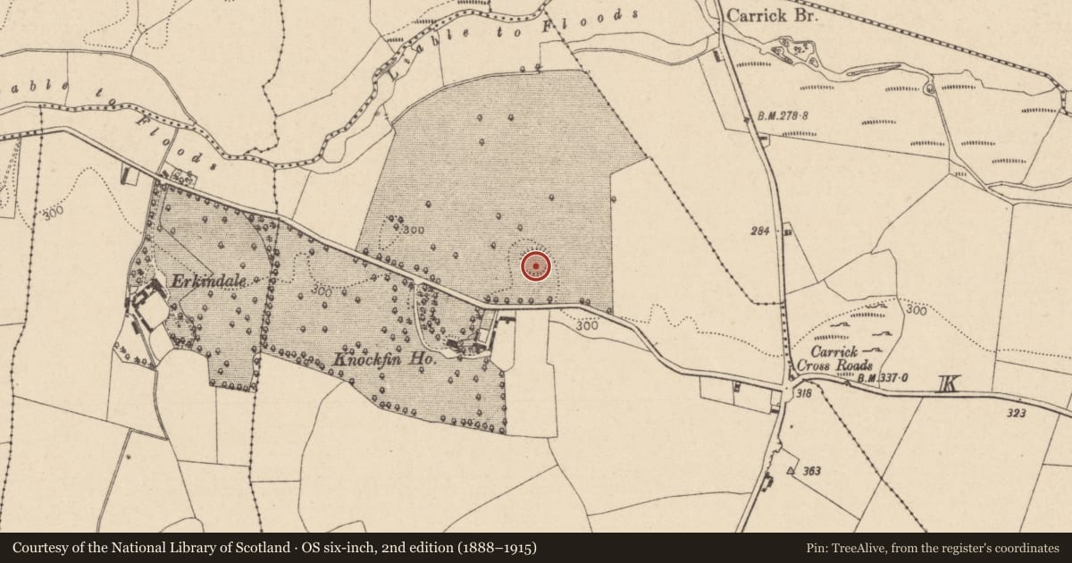 Ordnance Survey six-inch map, 2nd edition (1888–1915) covering the location of Ringfort - rath, Knockfin, County Laois, with a pin at the register's coordinates