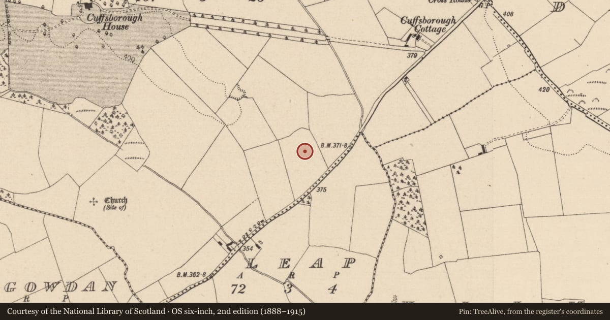 Ordnance Survey six-inch map, 2nd edition (1888–1915) covering the location of Enclosure, Cuffsborough, County Laois, with a pin at the register's coordinates