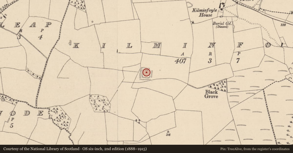 Ordnance Survey six-inch map, 2nd edition (1888–1915) covering the location of Moated site, Kilminfoyle, County Laois, with a pin at the register's coordinates