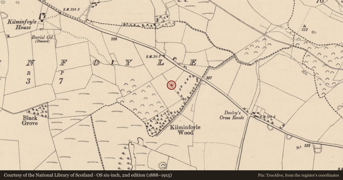 Ordnance Survey six-inch map, 2nd edition (1888–1915) covering the location of Fulacht fia, Kilminfoyle, County Laois, with a pin at the register's coordinates