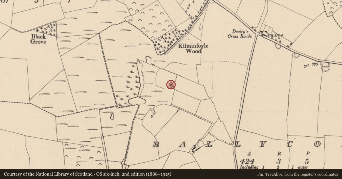Ordnance Survey six-inch map, 2nd edition (1888–1915) covering the location of Enclosure, Ballycolla, County Laois, with a pin at the register's coordinates