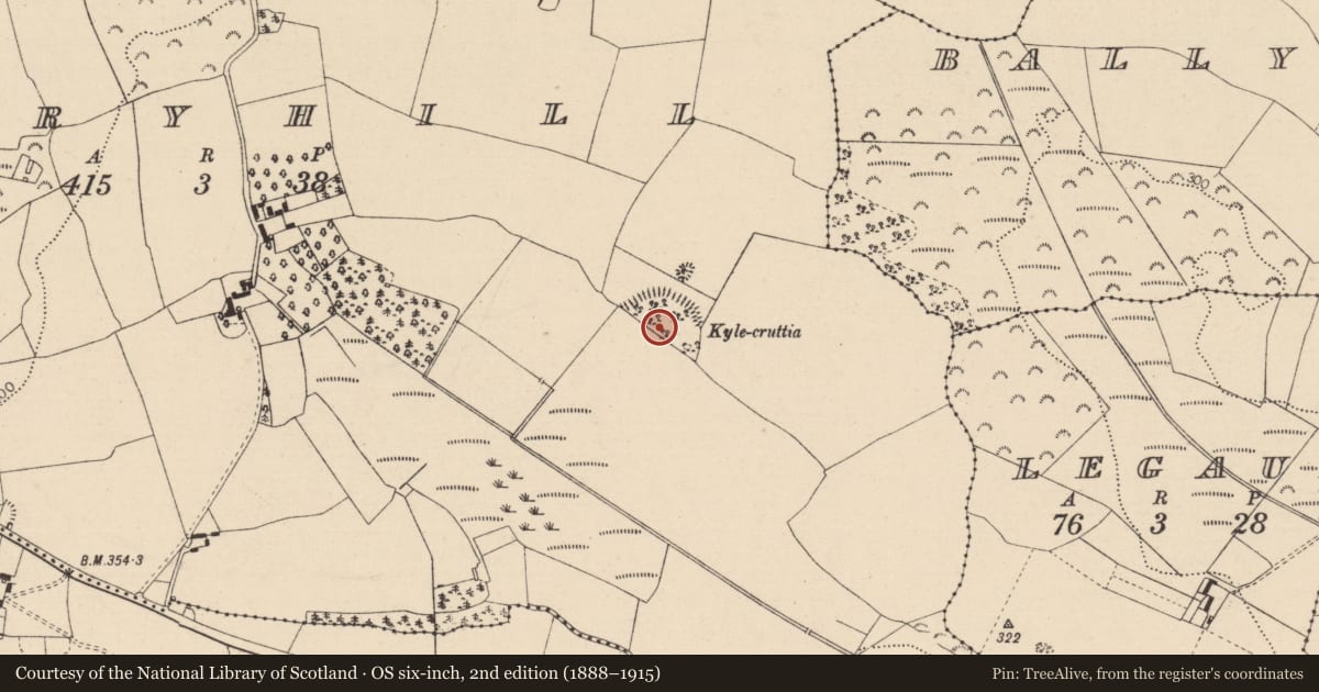 Ordnance Survey six-inch map, 2nd edition (1888–1915) covering the location of Church, Dairyhill, County Laois, with a pin at the register's coordinates