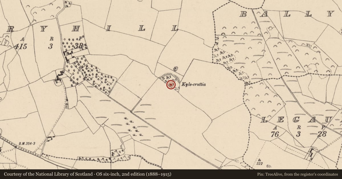 Ordnance Survey six-inch map, 2nd edition (1888–1915) covering the location of Graveyard, Dairyhill, County Laois, with a pin at the register's coordinates