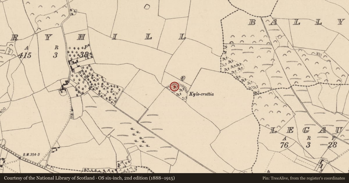 Ordnance Survey six-inch map, 2nd edition (1888–1915) covering the location of Ecclesiastical enclosure, Dairyhill, County Laois, with a pin at the register's coordinates