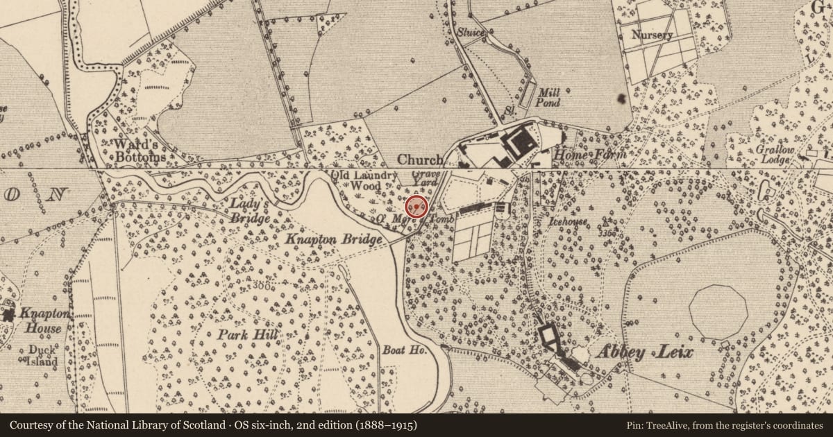 Ordnance Survey six-inch map, 2nd edition (1888–1915) covering the location of Font, Abbeyleix Demesne, County Laois, with a pin at the register's coordinates