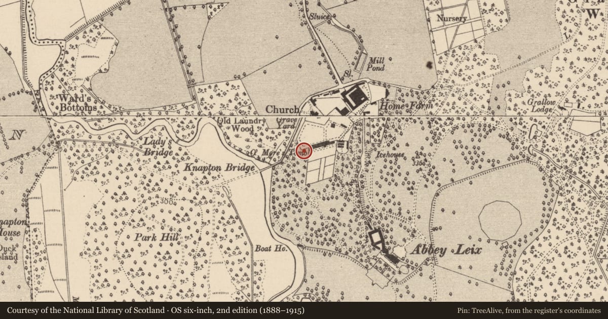 Ordnance Survey six-inch map, 2nd edition (1888–1915) covering the location of Graveslab, Abbeyleix Demesne, County Laois, with a pin at the register's coordinates