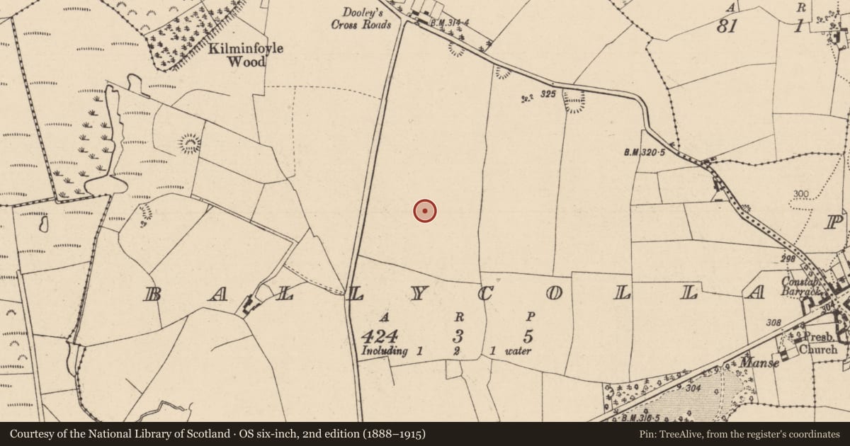 Ordnance Survey six-inch map, 2nd edition (1888–1915) covering the location of Souterrain, Ballycolla, County Laois, with a pin at the register's coordinates