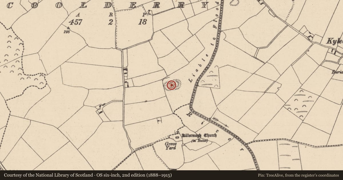 Ordnance Survey six-inch map, 2nd edition (1888–1915) covering the location of Moated site, Coolderry, County Laois, with a pin at the register's coordinates