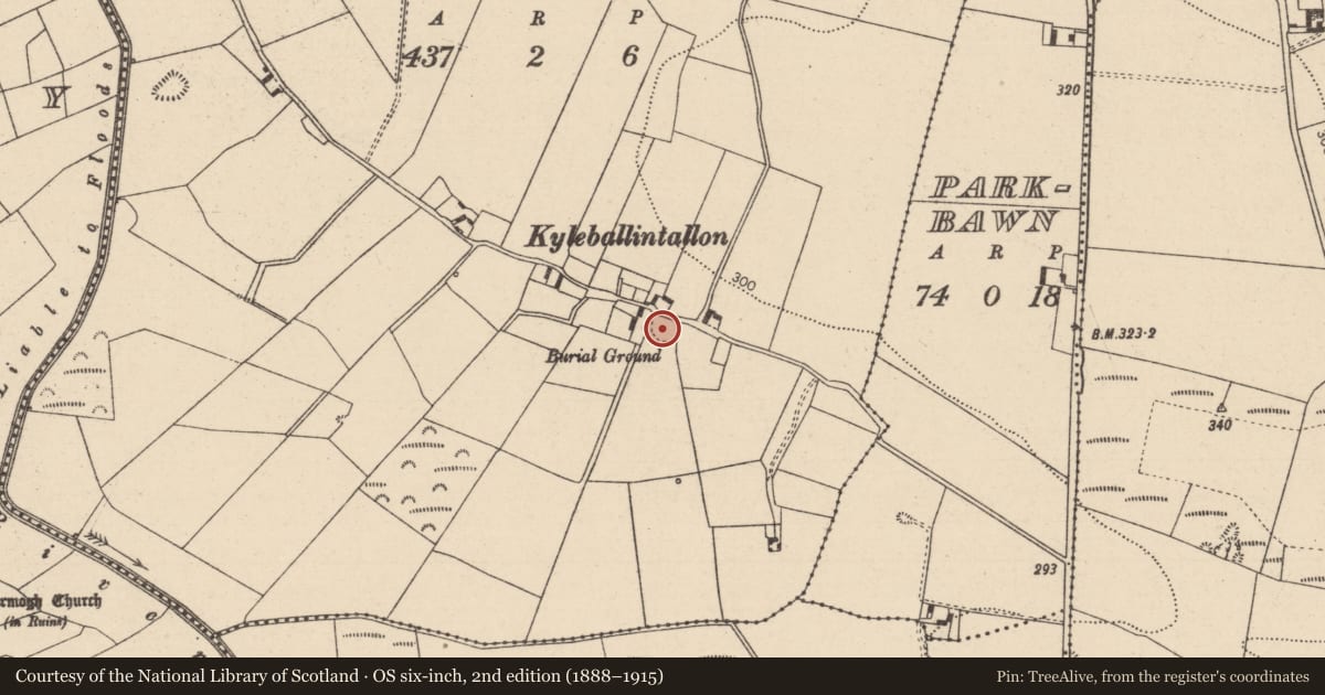 Ordnance Survey six-inch map, 2nd edition (1888–1915) covering the location of Burial ground, Kyle, County Laois, with a pin at the register's coordinates