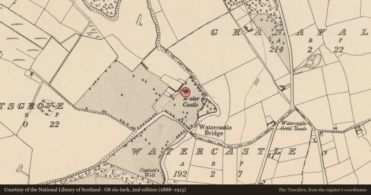 Ordnance Survey six-inch map, 2nd edition (1888–1915) covering the location of Castle - tower house, Watercastle, County Laois, with a pin at the register's coordinates