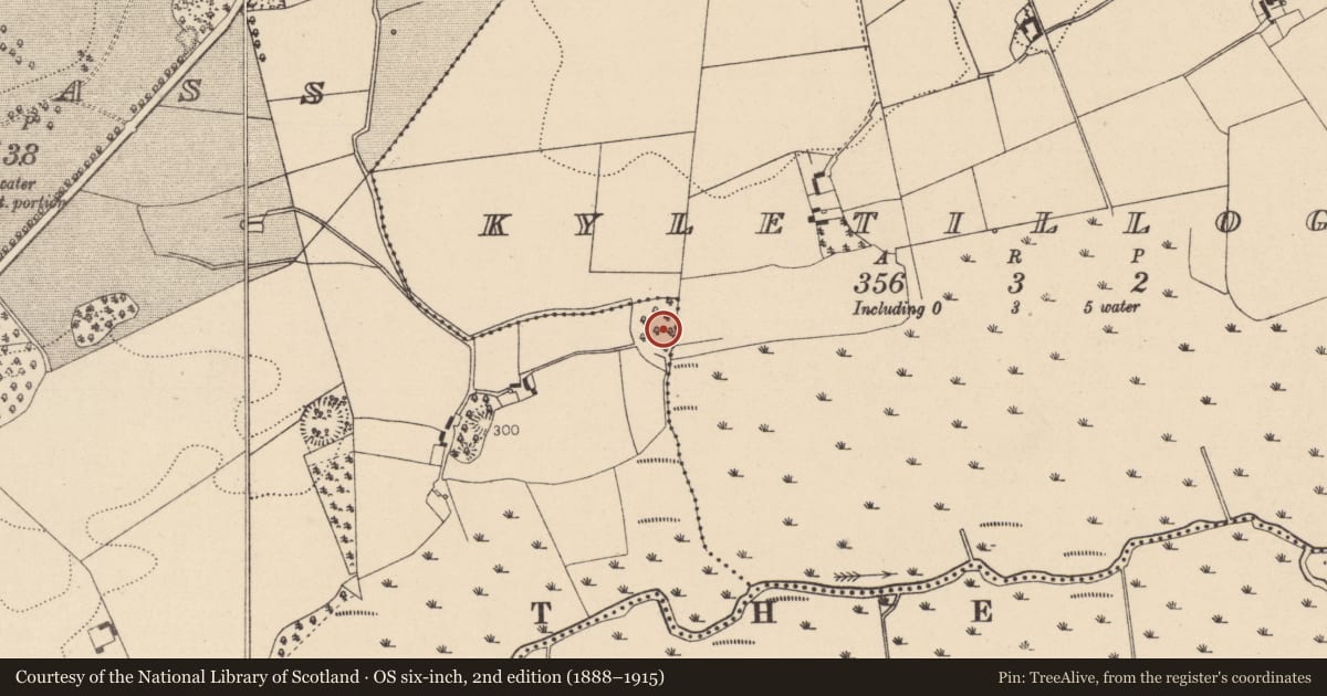 Ordnance Survey six-inch map, 2nd edition (1888–1915) covering the location of Enclosure, Kyletilloge, Oldglass, County Laois, with a pin at the register's coordinates