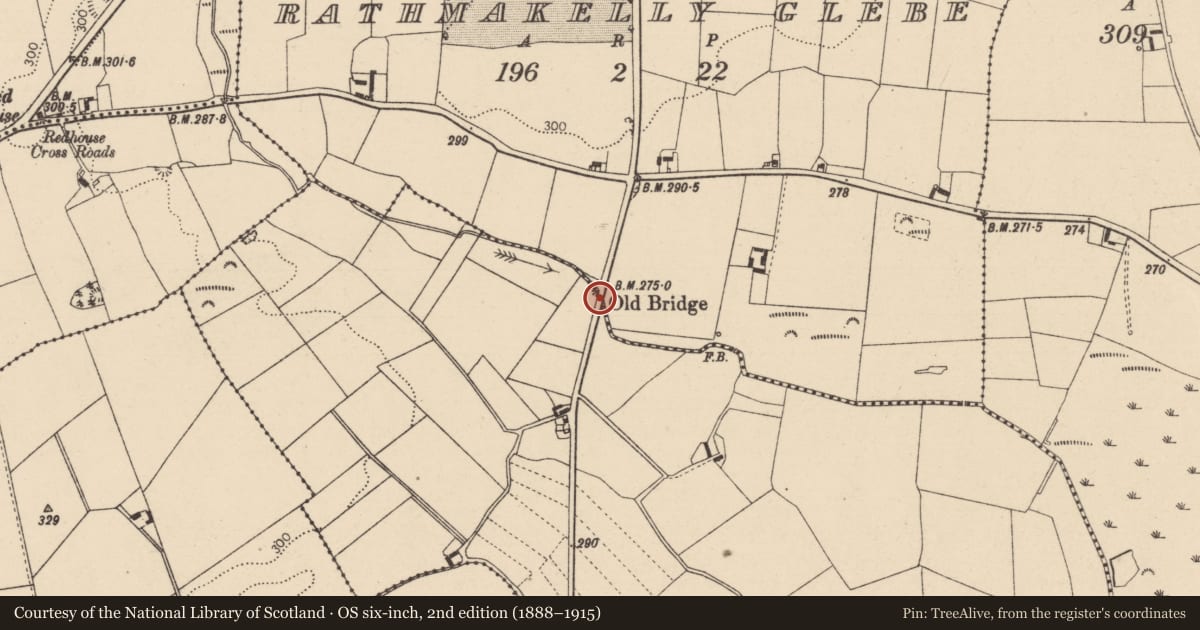 Ordnance Survey six-inch map, 2nd edition (1888–1915) covering the location of Bridge, Ballygarvan Glebe, Rathmakelly Glebe, County Laois, with a pin at the register's coordinates
