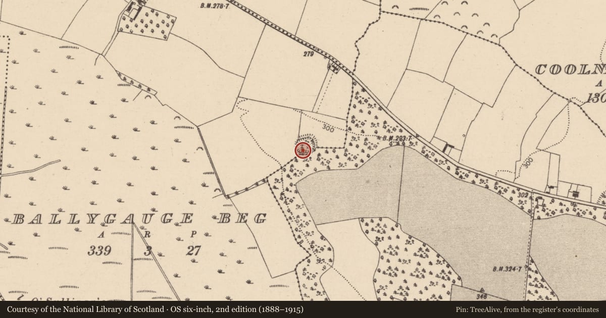 Ordnance Survey six-inch map, 2nd edition (1888–1915) covering the location of Ringfort - rath, Ballygauge Beg, County Laois, with a pin at the register's coordinates