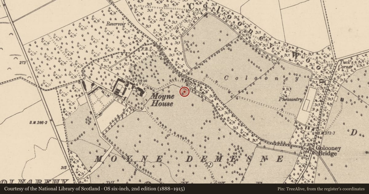 Ordnance Survey six-inch map, 2nd edition (1888–1915) covering the location of Urn burial, Moyne, County Laois, with a pin at the register's coordinates