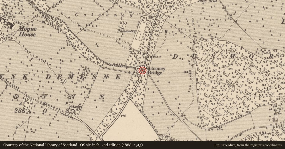 Ordnance Survey six-inch map, 2nd edition (1888–1915) covering the location of Bridge, County Laois, with a pin at the register's coordinates