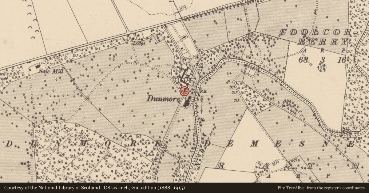 Ordnance Survey six-inch map, 2nd edition (1888–1915) covering the location of Graveyard, Dunmore, County Laois, with a pin at the register's coordinates