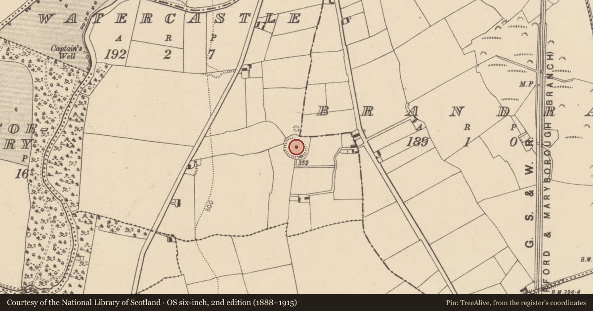 Ordnance Survey six-inch map, 2nd edition (1888–1915) covering the location of Ringfort - rath, Watercastle, County Laois, with a pin at the register's coordinates