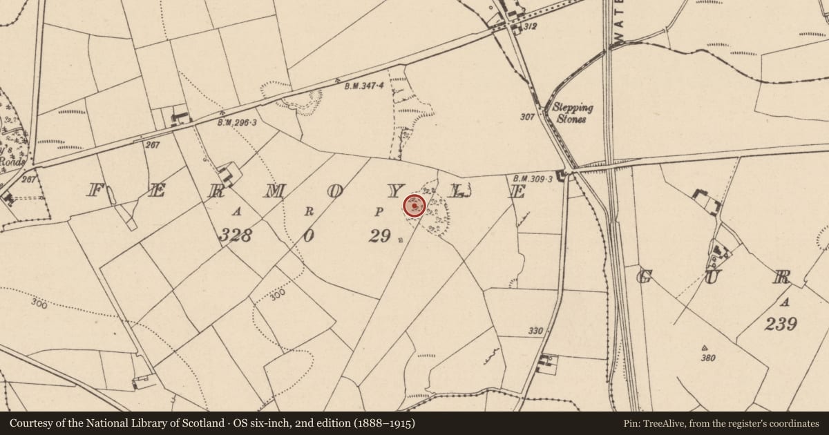 Ordnance Survey six-inch map, 2nd edition (1888–1915) covering the location of Quarry, Fermoyle, County Laois, with a pin at the register's coordinates