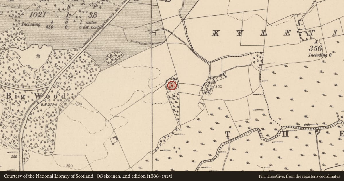Ordnance Survey six-inch map, 2nd edition (1888–1915) covering the location of Ringfort - rath, Oldglass, County Laois, with a pin at the register's coordinates