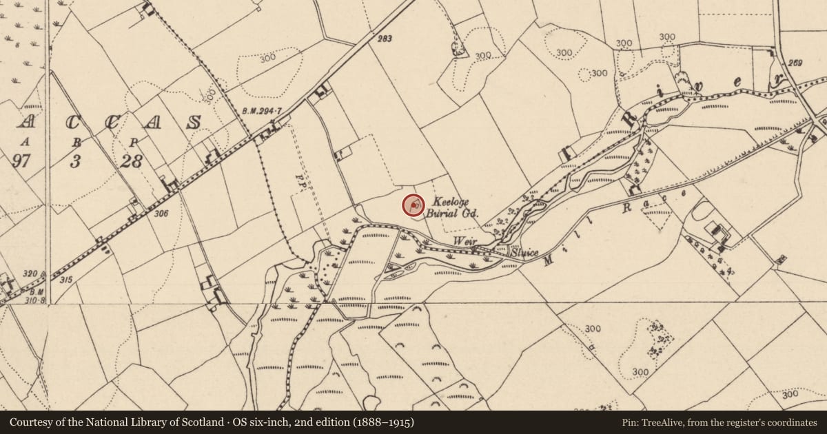 Ordnance Survey six-inch map, 2nd edition (1888–1915) covering the location of Church, Ballyboodin, County Laois, with a pin at the register's coordinates